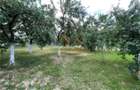 TEREN INTRAVILAN 8000 MP | PARTIAL IMPREJMUIT | PESTERE | BIHOR | - 1