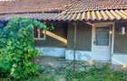 Casa cu teren generos de 887 mp Padina, jud. Buzau - 1