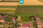 Teren intravilan de 596mp in Cicir, Vladimirescu