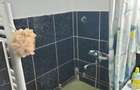 Apartament de inchiriat - 3