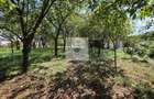Vila P+1 in Simeria central 320 mp, teren 1000 mp, toate utilita?ile - 12