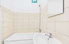 Apartament cu o cameră, Miron Costin