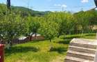 Casa de vacan?a cu teren, zona submontana, aproape de Valenii de Munte - 18