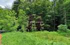 Teren intravilan de vanzare in Sinaia - Zona Furnica - 1