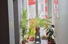 Ap 2 cam de vanzare, str. T. Vladimirescu/Ared - 7