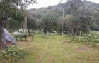 Vand teren intravilan si casa in orasul Baia de Arama - 6