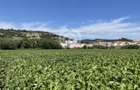 Teren intravilan Medias | 13700 mp | Deschidere 242 ml la drum public - 1