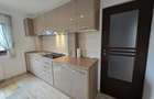 Proprietar, inchiriez apartament cu o camera, 48 mp, Podul de Fier - 2