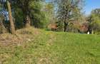Teren deosebit - 1500 mp, Poiana Angelescu, Str. Livezii