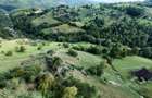 Teren de 10000 mp, în Răchițele - 6