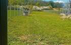 Teren intravilan curte - 5