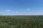 Vand teren agricol Tulucesti - 2