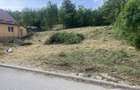 Teren de vanzare in zona urbana, 3900 mp - 1