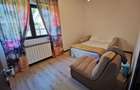 Vila Erou Iancu Nicolae - 3