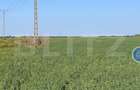 Teren arabil, 25 ha, Giulvaz-Foeni, front stradal 280 ml - 2