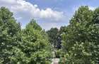 Proprietate unica in Snagov, aproape 1.000 mp construiti, ideala pentru clinica sau business sau o familie mare - 1