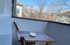Inchiriere apartament 2 camere, zona centrala (10 min de Piata Unirii & 10 min de Iulius Mall) - 4