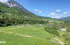 Teren intravilan 1269 mp cu priveliste la 12 km de zona Bran-Moeciu. - 10
