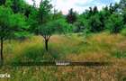 Teren intravilan 6115mp | Danesti, Maramures | Oportunitate investitie - 7