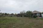 casa cu teren 3000 mp de vanzare Mahmudia - 4