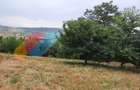 Teren intravilan, 2000 mp, Valea Chintaului
