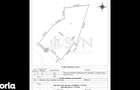 Teren intravilan I 1774 mp I 23.52 m Deschidere I Iancu Nicolae - 1