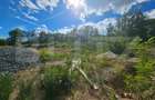 Teren intravilan, 2.000 mp, 2 parcele, zona Lup?a - 1