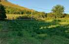 Teren intravilan de vanzare 100 lei m - 3
