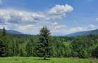 Teren extravilan Campu lui Neag(Fetele Toplitei)-judetul Hunedoara - 1