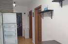 Apartament str Porii langa Annabella(PROFI) FLORE?TI - 9