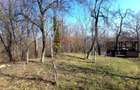 CASĂ INDIVIDUALĂ CU LIVADĂ | 2.195 MP TEREN | POIANA CÂMPINA - 31