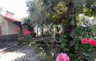 Randament 9.5% Afacere la cheie / Casa de vacanta Thasos Gre - 5