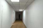Jilava-Giurgiului-Spatii depozitare/comerciale/hala/birou-60mp-500EUR - 3