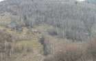 Vanzare teren intravilan - Valea ierii 15.000mp - 4