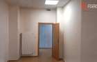 Spatiu comercial de inchiriat, pentru birouri sau alte activitati - 8