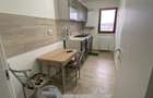 Apartament 1 camera Bucium - 4