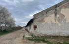 Hala de vanzare - 18246 mp, acces pietruit - 8