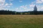 Vand 16 hectare de pasune - 4