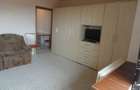 Apartament 1 camera decomandat, Confectii, 49 mp, renovat, mobilat - 9