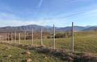 Teren intravilan 809 mp Tropinii Noi langa padurea Dumbrava - 7