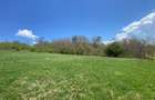 Teren 14,61 ha de vanzare Halmeag, Brasov