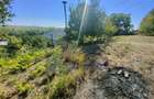 Casa langa PADURE + anexe + 6400 mp TEREN intravilan - sat HARPA?E - 4
