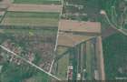 Snagov-str. Piersicariei - 4