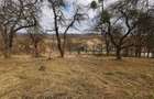 Teren de vanzare Deusu, comuna Chinteni | 1052 mp | intre case - 3