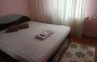 2 Camere decomandat Calea Rahovei Bolintineanu - 3