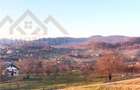 Teren intravilan, 25 ari, Danesti - 4