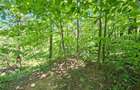 Oaza de lini?te ?i natura pura | Teren de vanzare in Runcu - Dobri?a, Gorj - 2