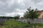 Parcele teren intravilan Colonia Gepiu | PUZ si Curent | 15 min Oradea - 3
