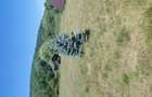 Vand teren plus lac plus 2 cabane si foisor