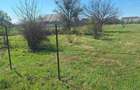 Dragomiresti- Vale, str Nucilor, teren intravilan 2.262mp. - 4